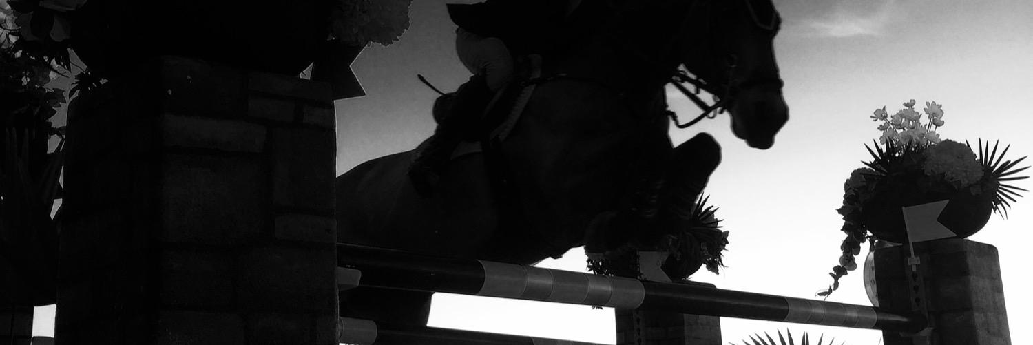 SoSavvyMedia's profile banner image