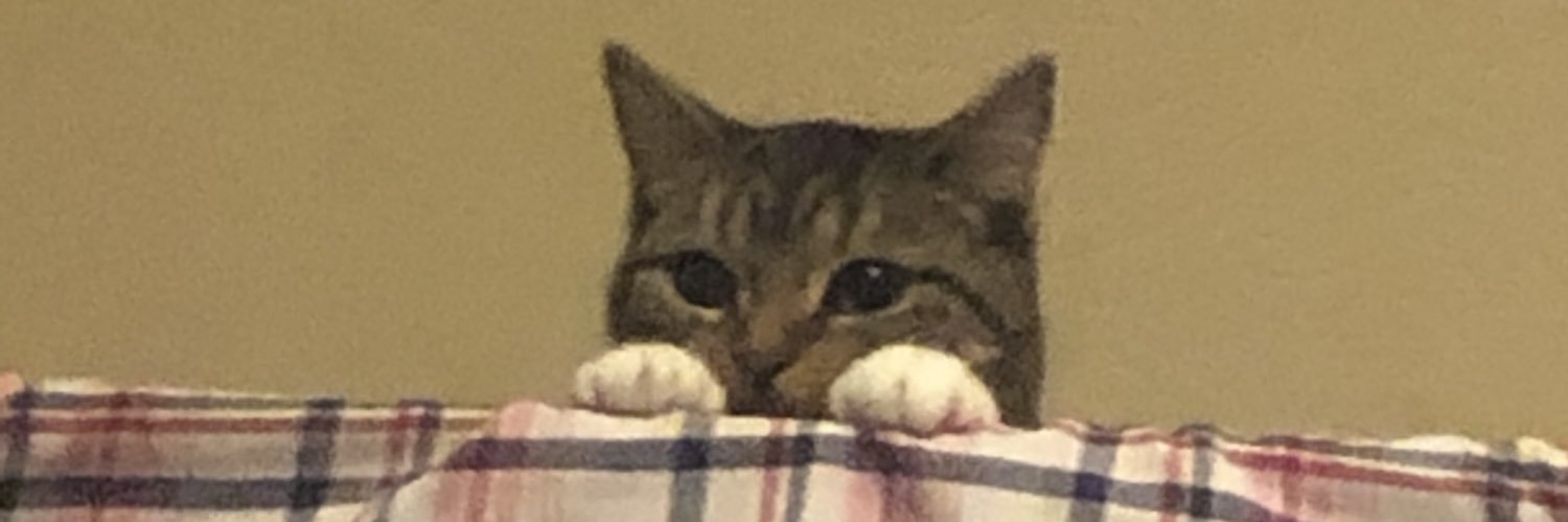 onlypluggedin2's profile banner image