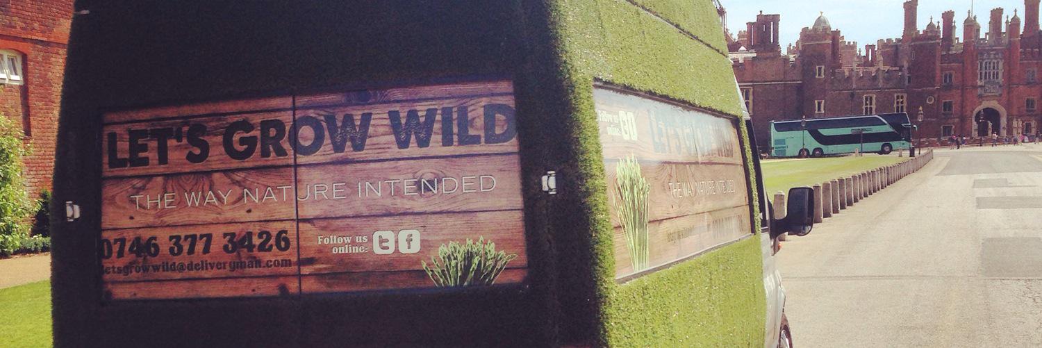 letsgrowild's profile banner image