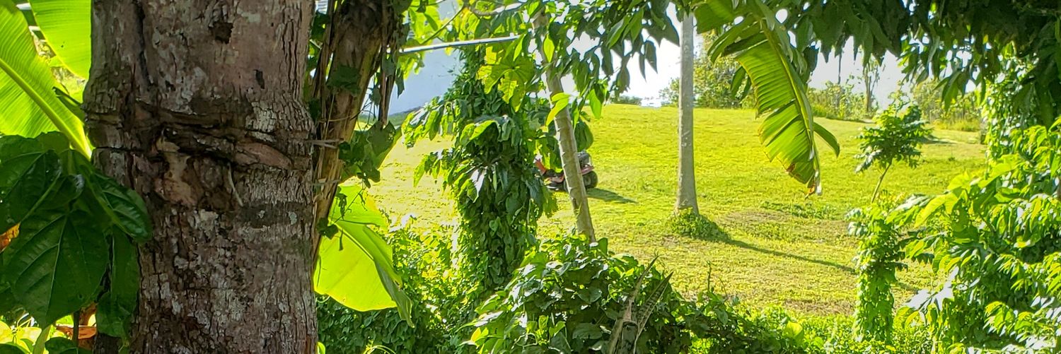 trekstark98's profile banner image