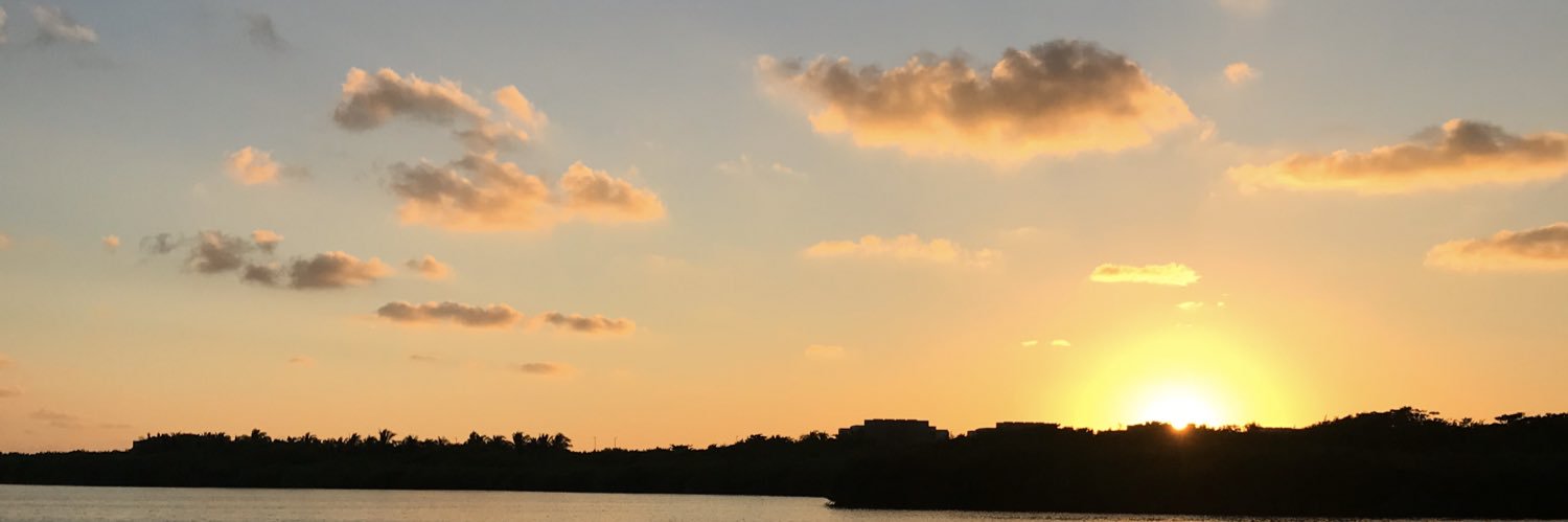 lescorona's profile banner image