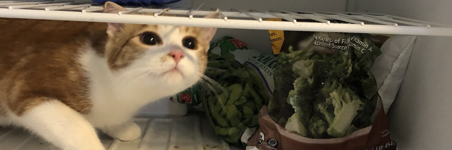 bbqchipsss's profile banner image