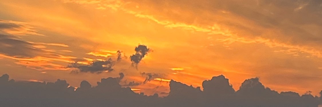 Zane Zilberte banner