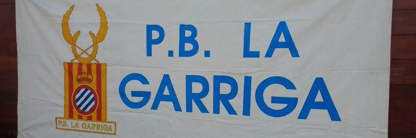pbiblg's profile banner image
