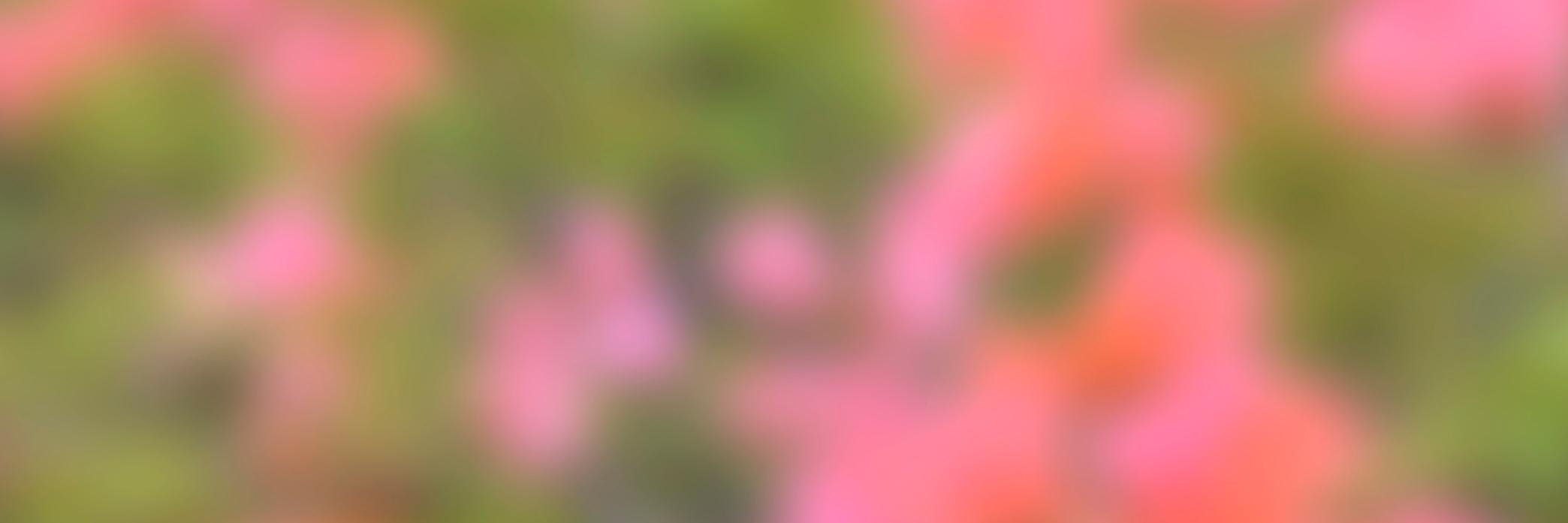 Metimes_'s profile banner image