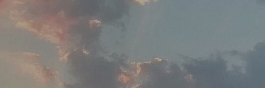 myauthnature's profile banner image