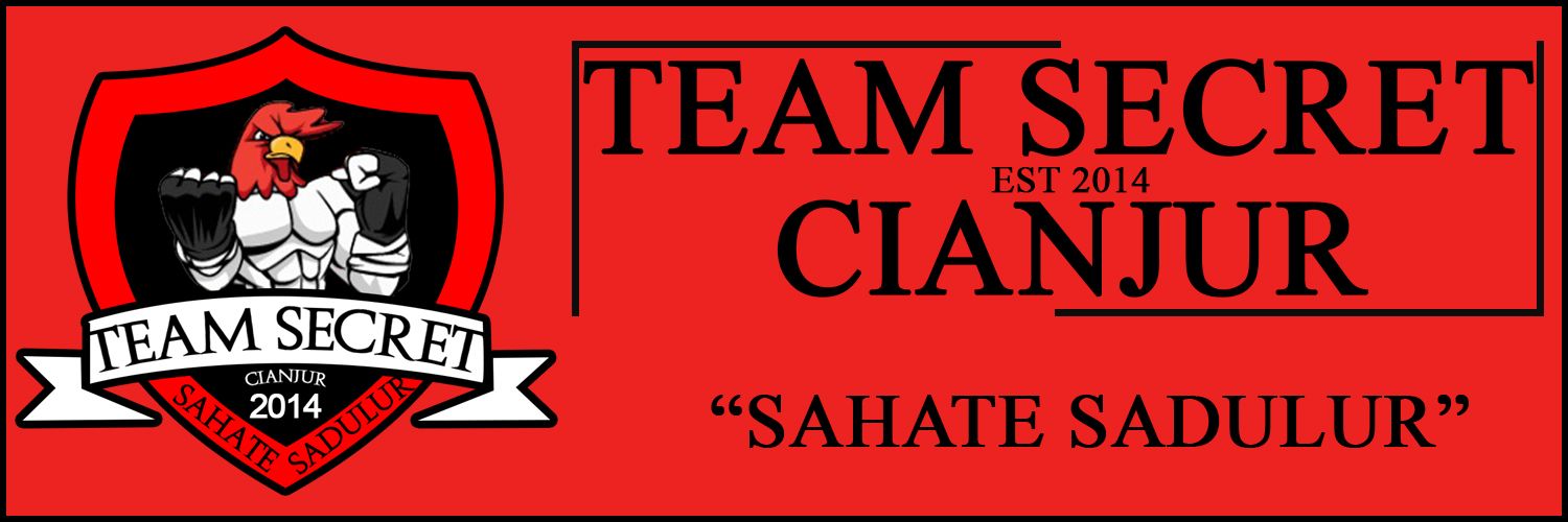 TeamSecretCJR48's profile banner image