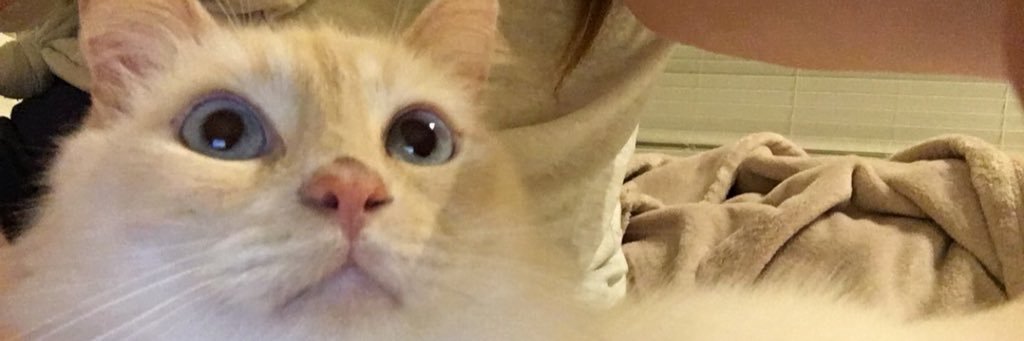 EmmaM0untcastle's profile banner image
