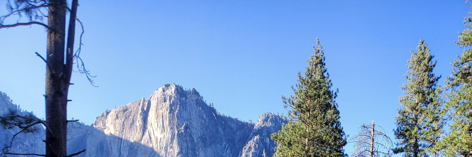 MainlyMacie01's profile banner image
