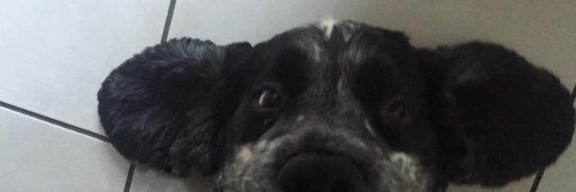 a_mylea's profile banner image