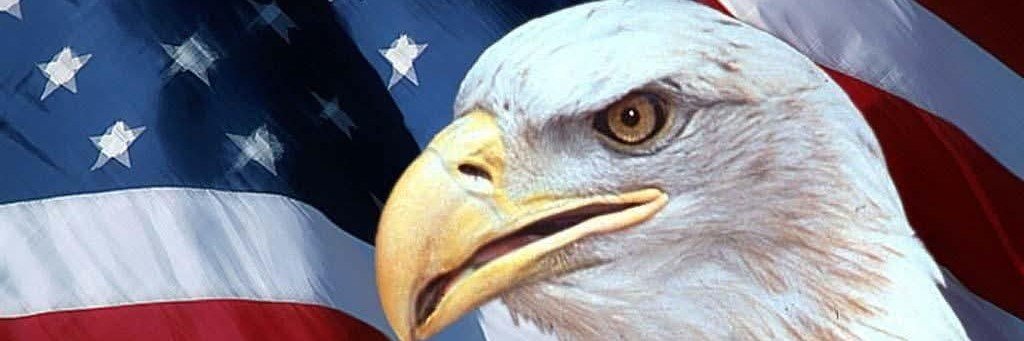 InalienableVET's profile banner image