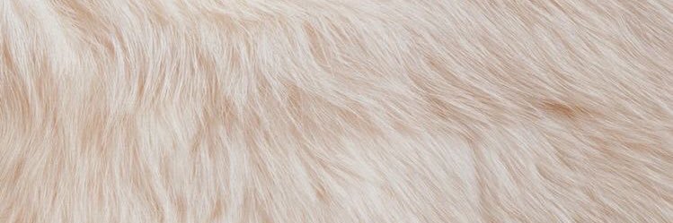 BeatrizEscobarB's profile banner image