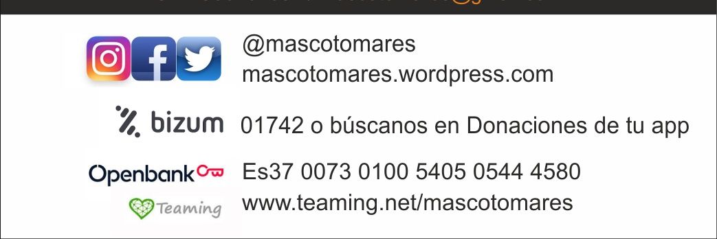 MASCOTOMARES banner