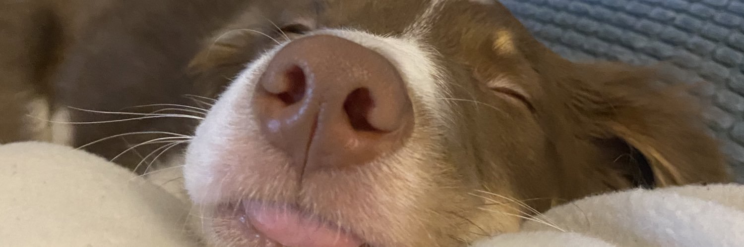 rubyyjohnsonn's profile banner image