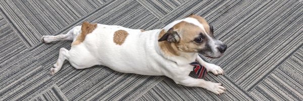 jrobinsonx Profile Banner