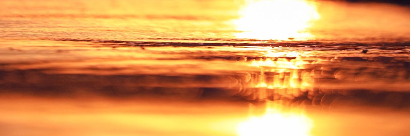 JizzyJ81's profile banner image