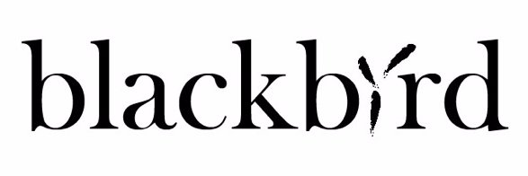 Blackbird Studio banner