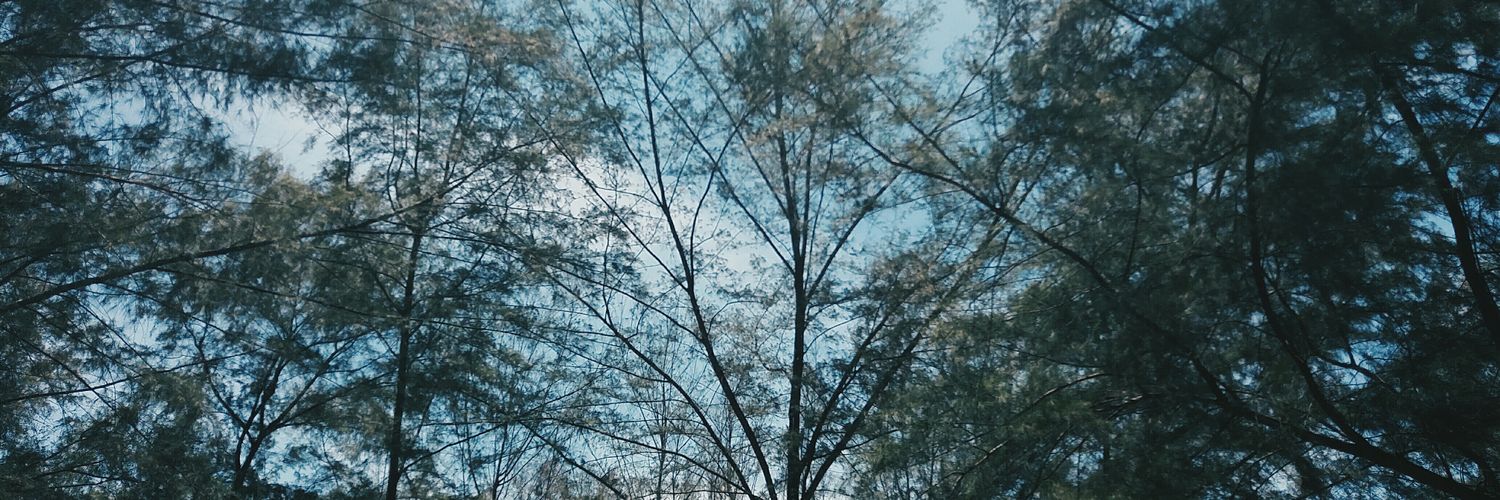 ftzrh's profile banner image