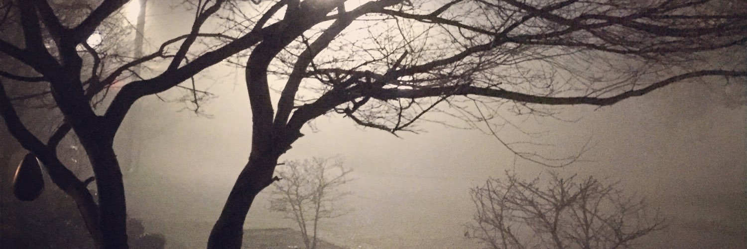 Zmannum2's profile banner image