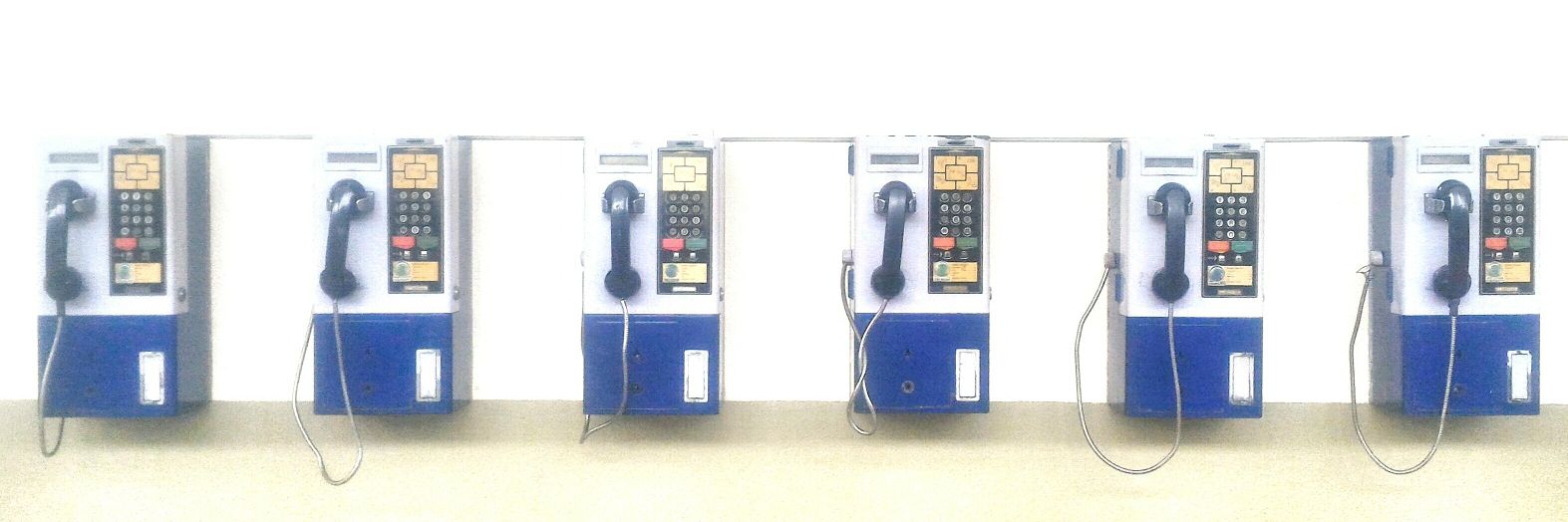 prototype species banner