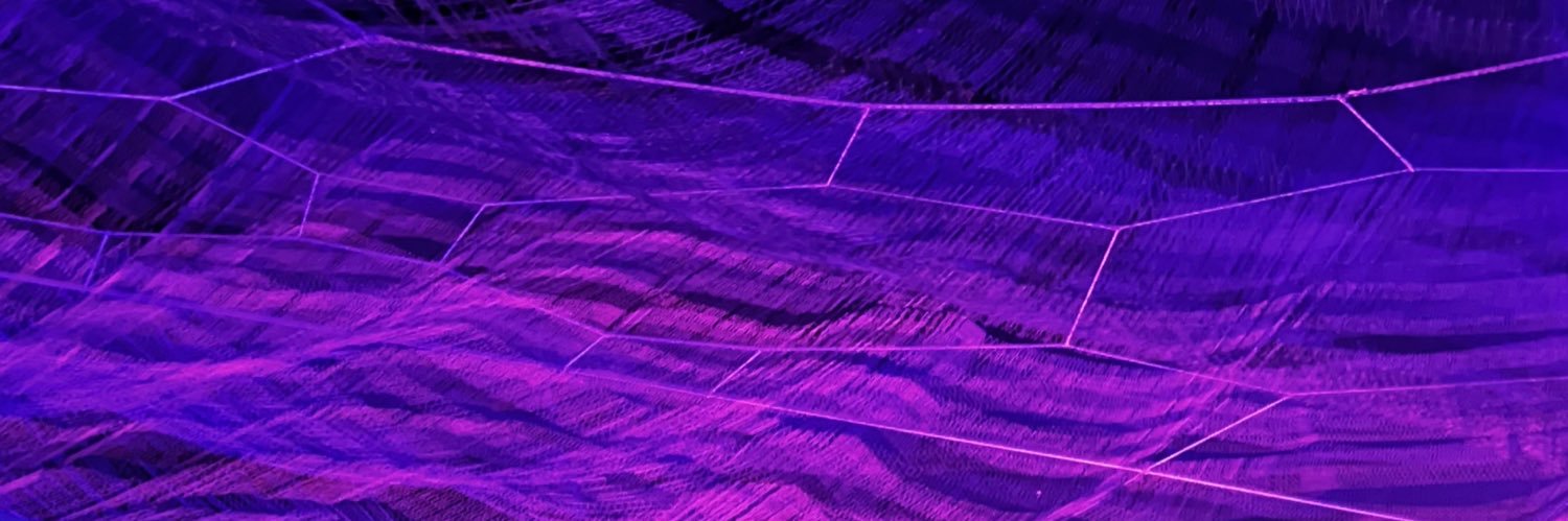 fcWlona's profile banner image