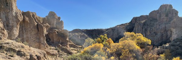 jeni_p Profile Banner