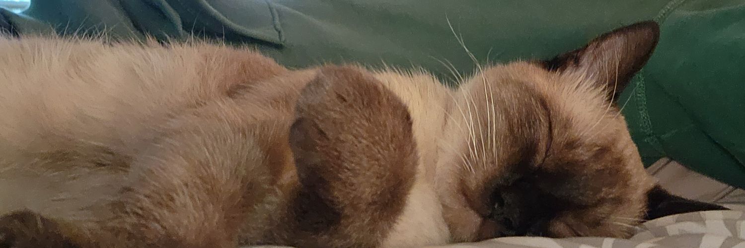 JimbertHimbert's profile banner image