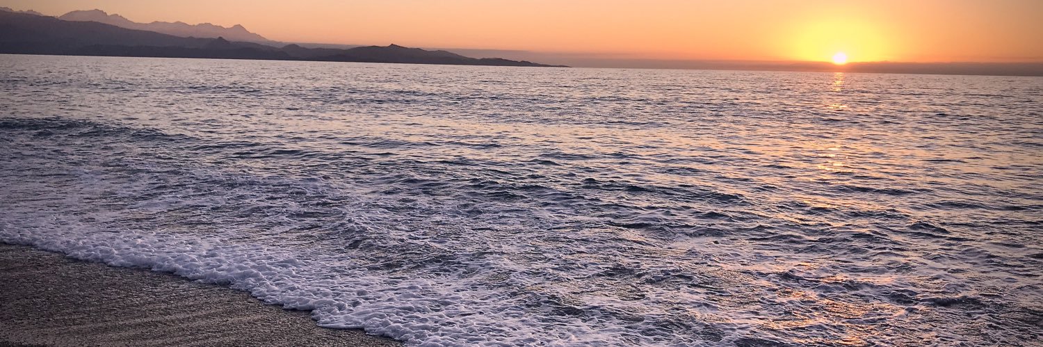pmfofo31's profile banner image