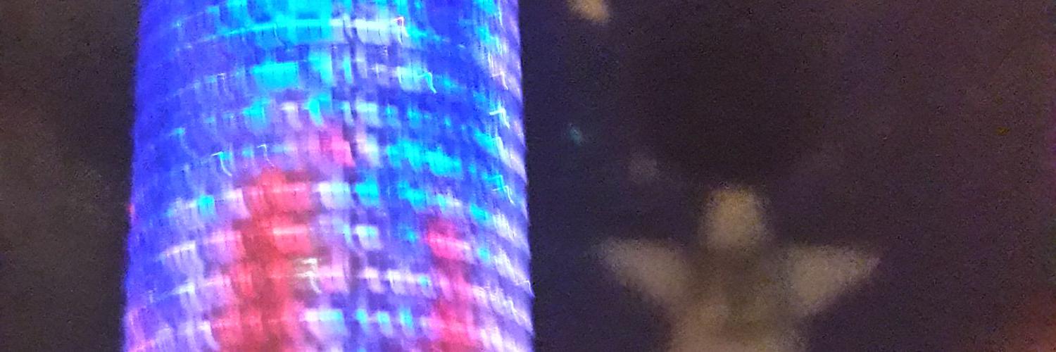 roserarroniz's profile banner image