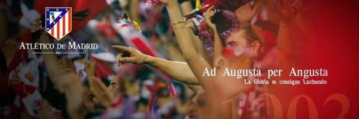 Dani Adgar banner