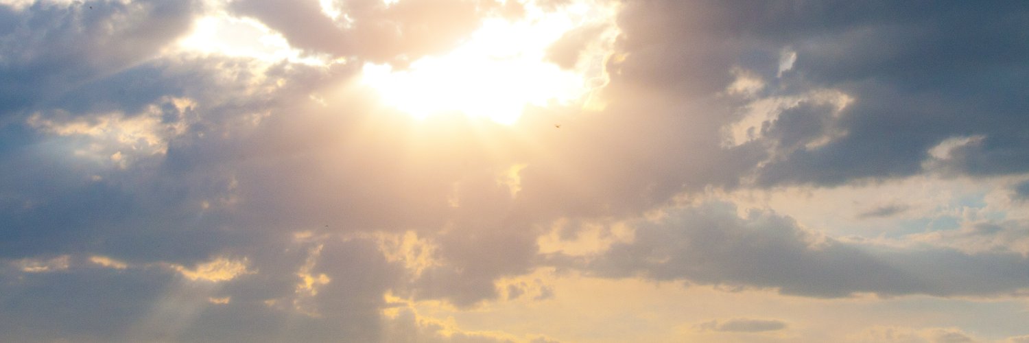 Kimberly F. Yang banner