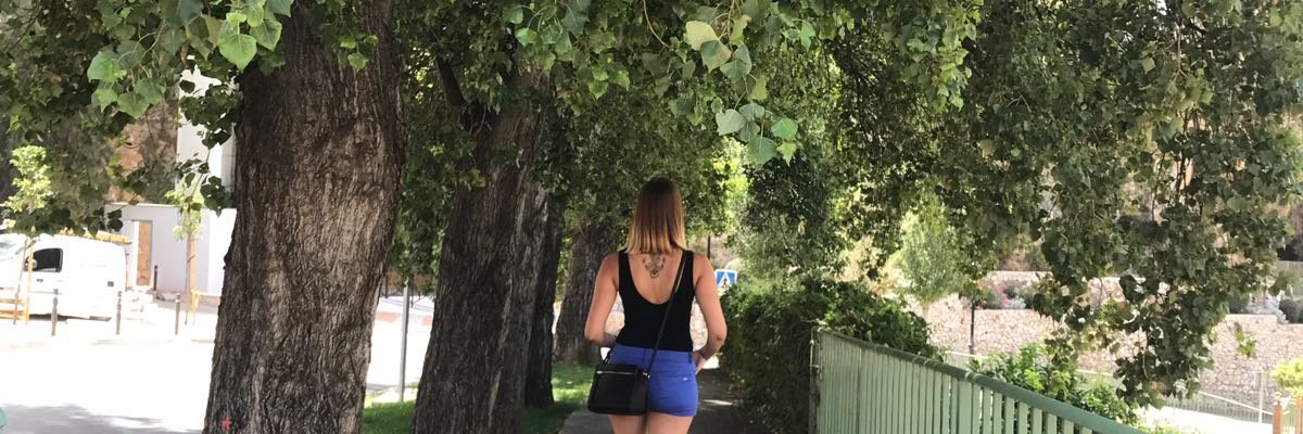 CoralMC4's profile banner image