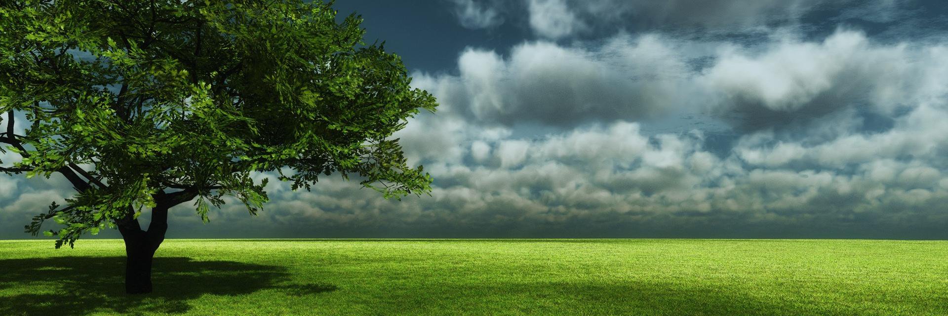 nhatlatoi's profile banner image