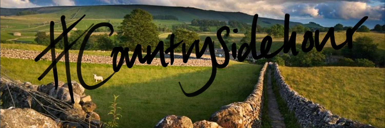 countrysidehour's profile banner image