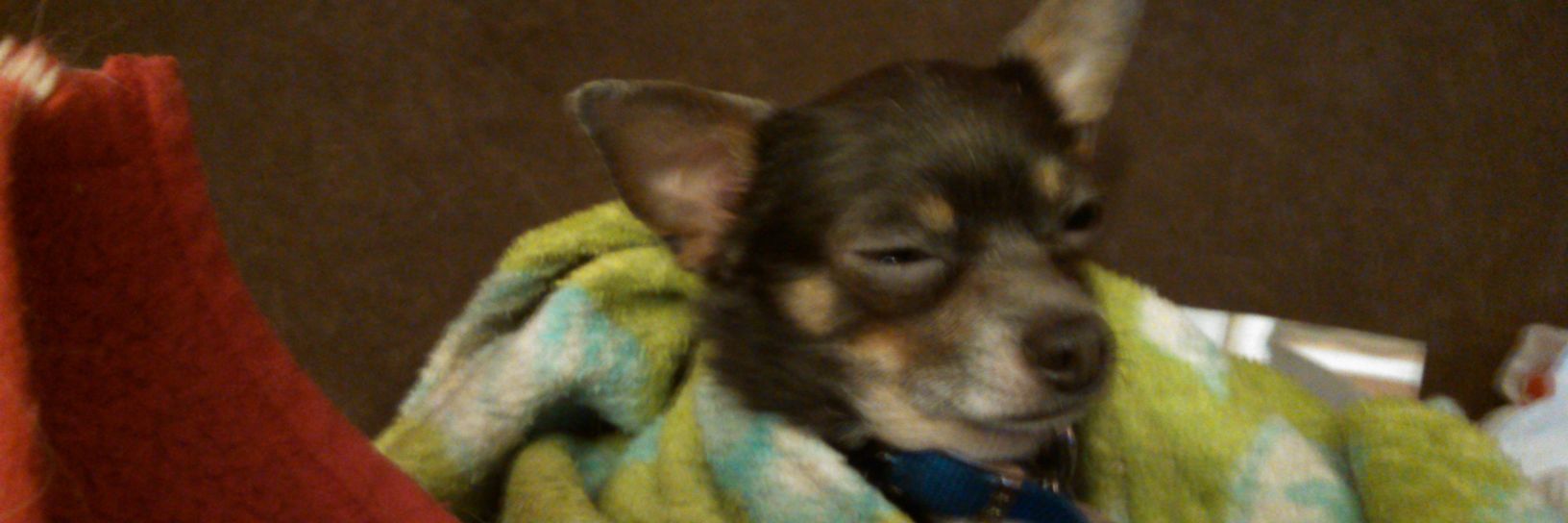 RatzKathi's profile banner image