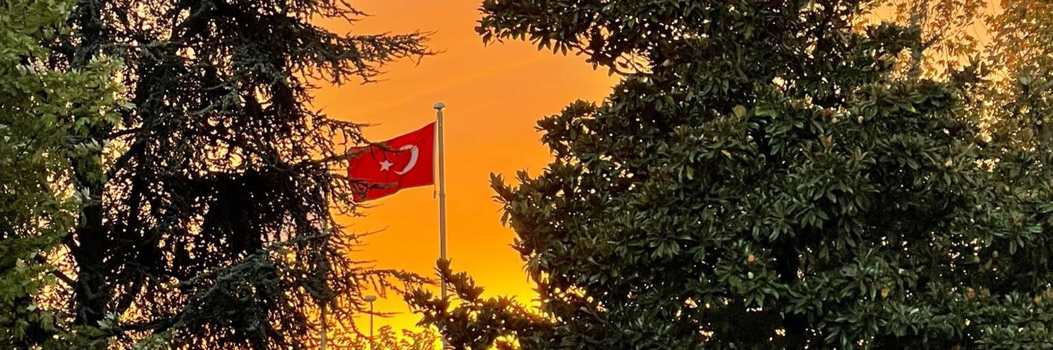 ArdaTsv's profile banner image