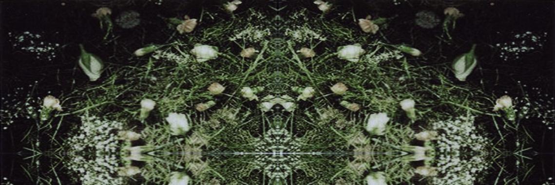 Flutterby Nat banner