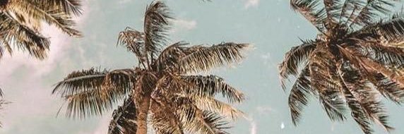 Miriamrg16's profile banner image