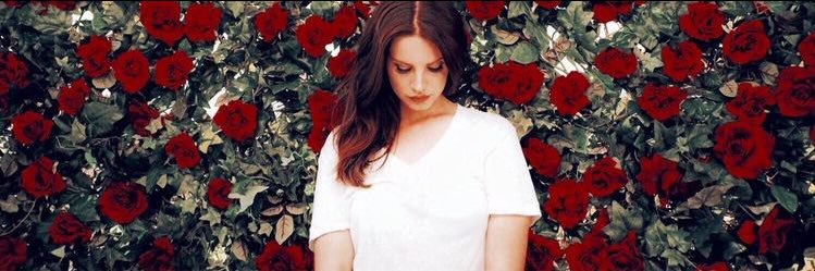 ThelAlmd's profile banner image