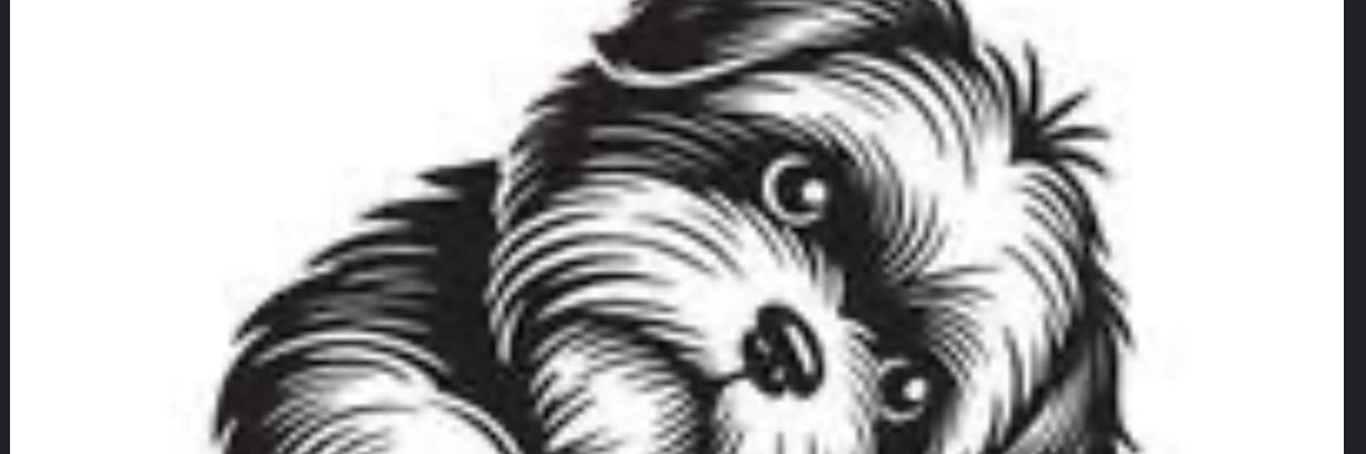 red_vigor's profile banner image