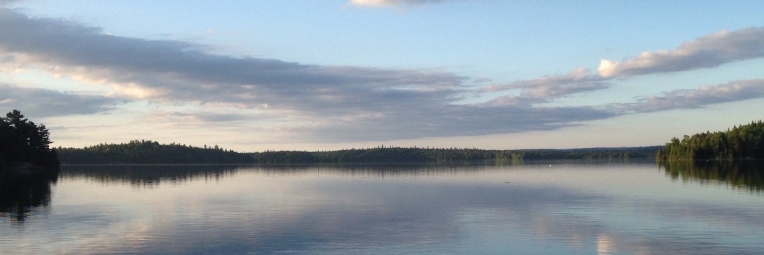 casdfcasdf's profile banner image