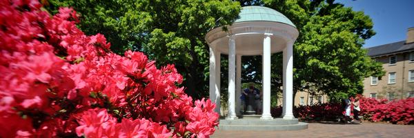 PedsAnes Profile Banner