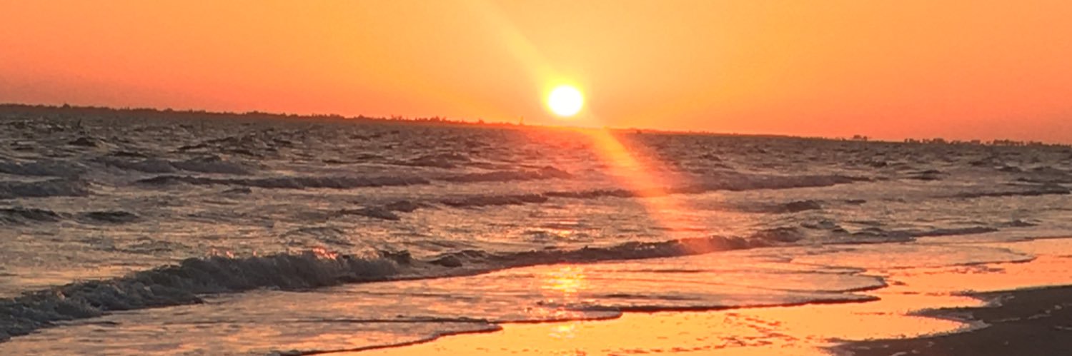 emilylambe's profile banner image