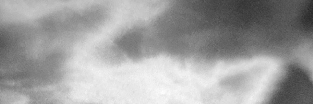 Arii_GuE's profile banner image