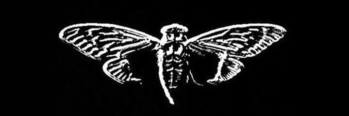 _saryd_'s profile banner image