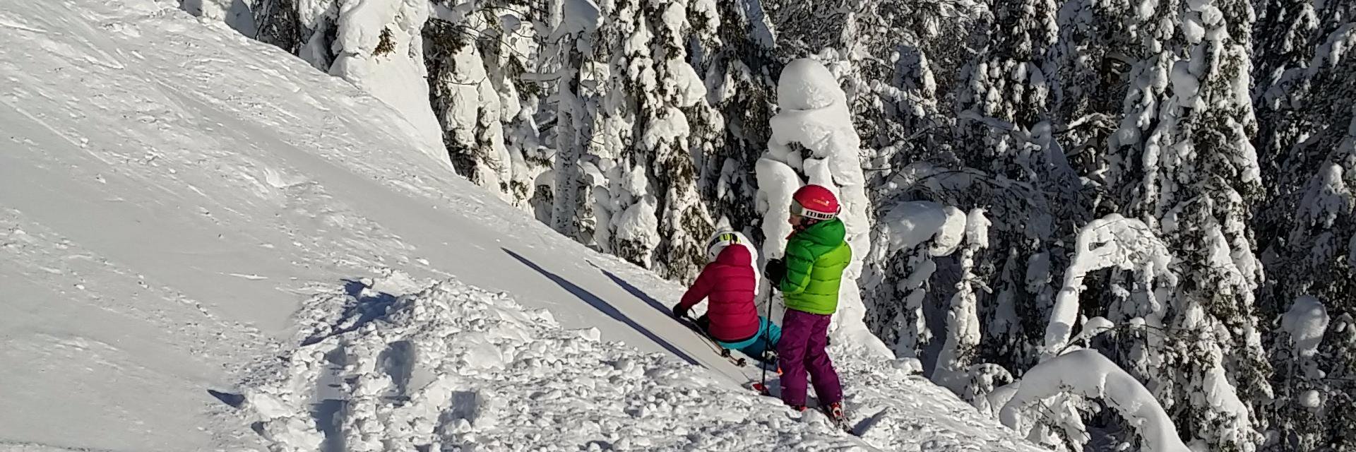 Leva drömmen banner