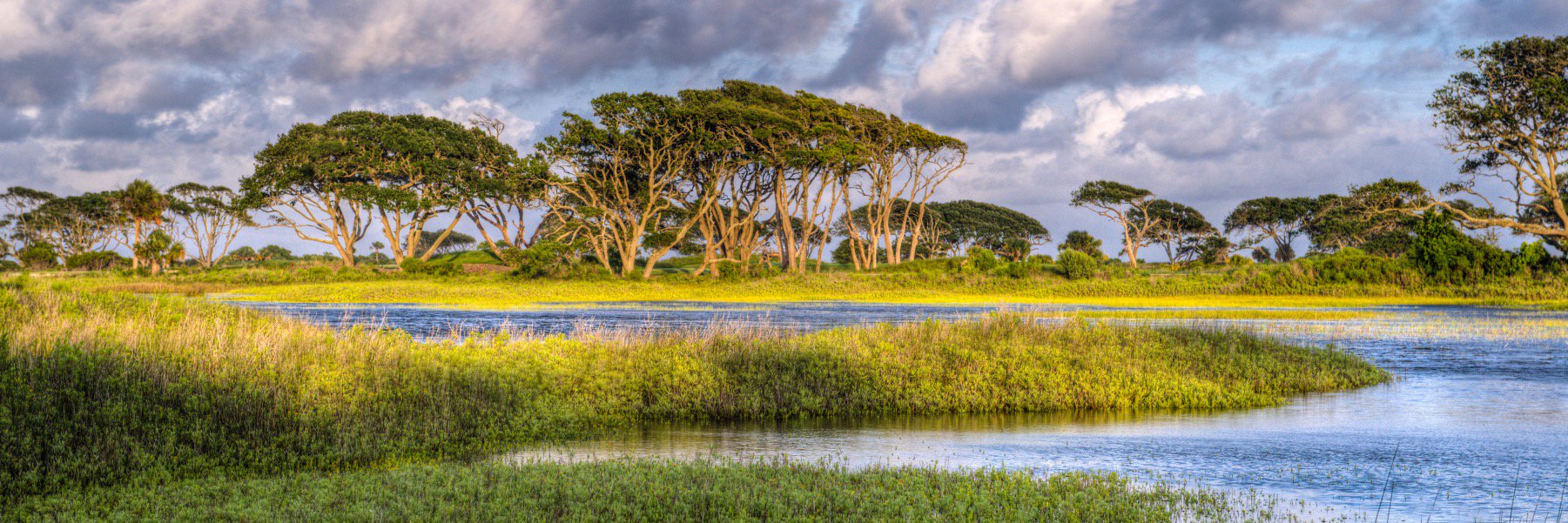 Laurie Merrill banner