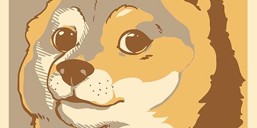 DogeNL's profile banner image