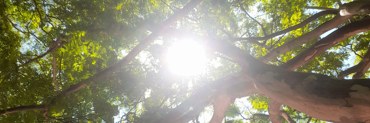 jvsoueu's profile banner image