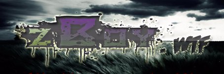 ZboyWtf's profile banner image